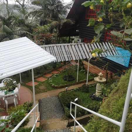 Bosque de Niebla Birding&Nature Cali Exterior foto