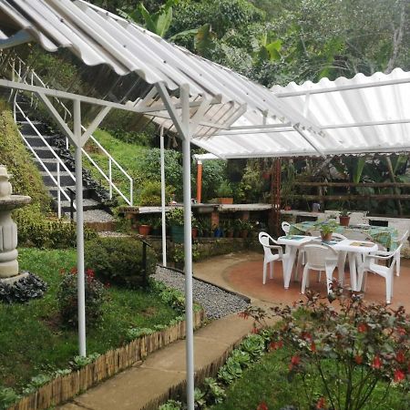 Bosque de Niebla Birding&Nature Cali Exterior foto