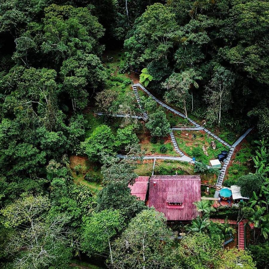 Bosque de Niebla Birding&Nature Cali Exterior foto