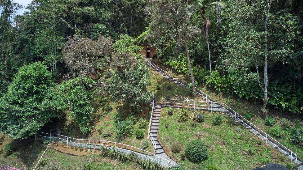 Bosque de Niebla Birding&Nature Cali Exterior foto