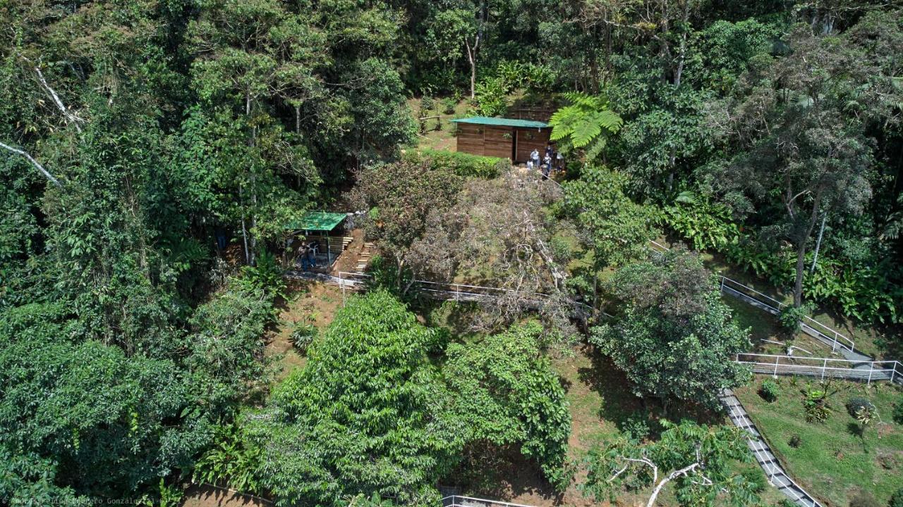 Bosque de Niebla Birding&Nature Cali Exterior foto