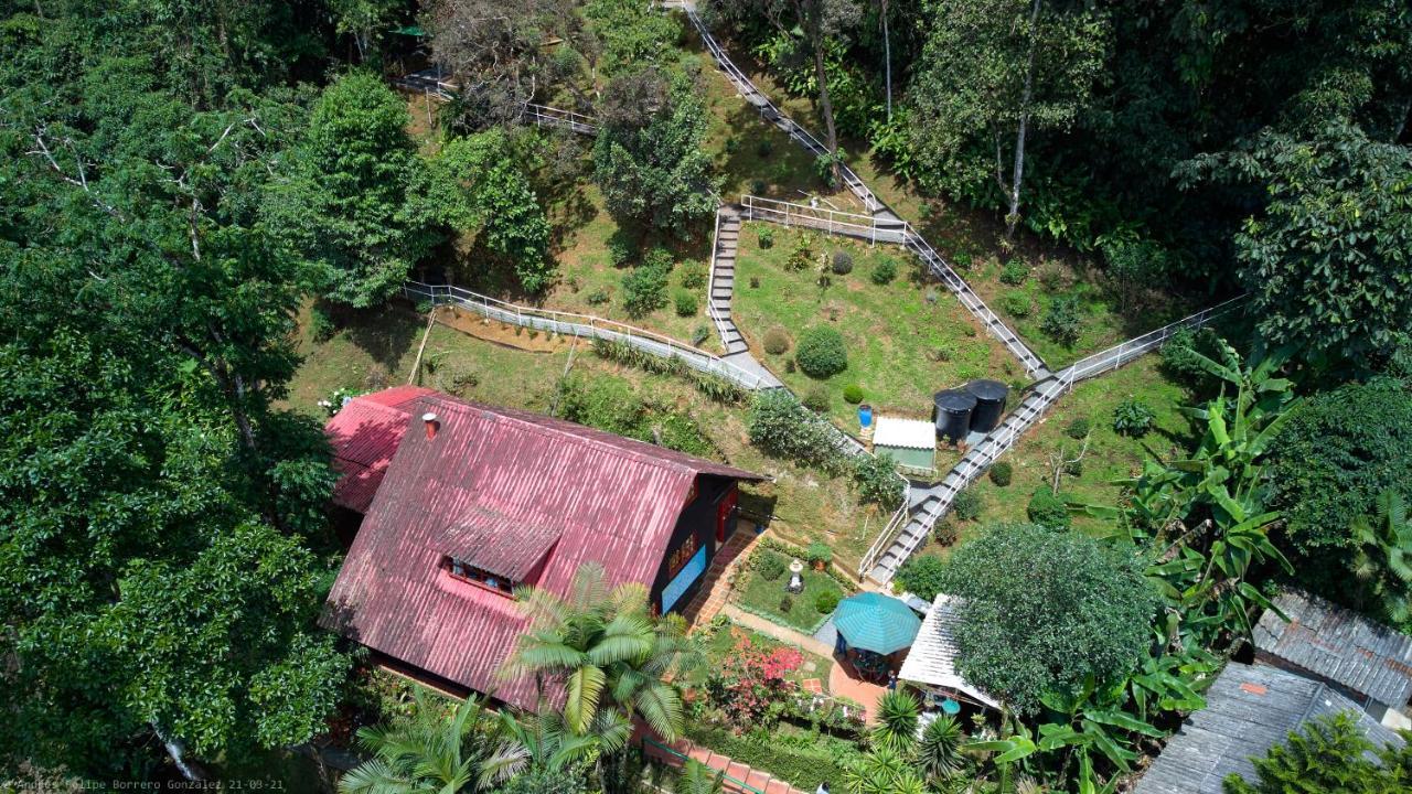 Bosque de Niebla Birding&Nature Cali Exterior foto