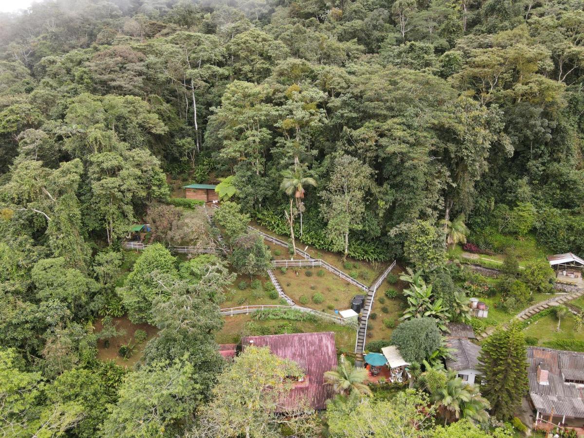 Bosque de Niebla Birding&Nature Cali Exterior foto