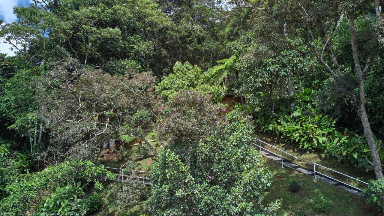Bosque de Niebla Birding&Nature Cali Exterior foto